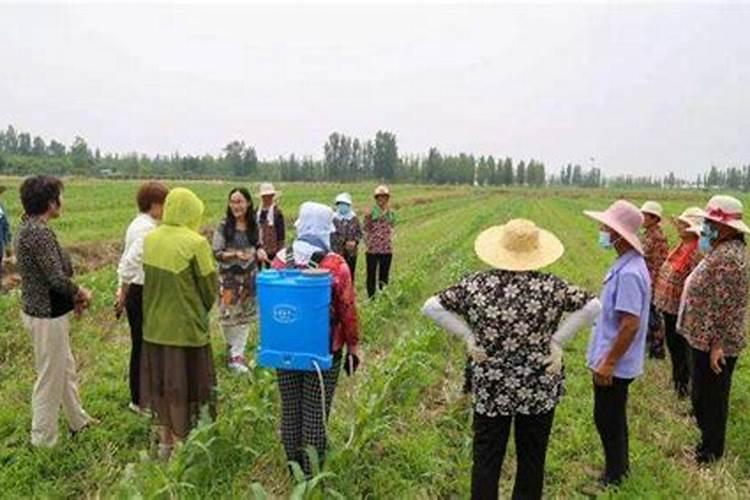 嘉施利(新疆)水溶肥有限公司怎么样？