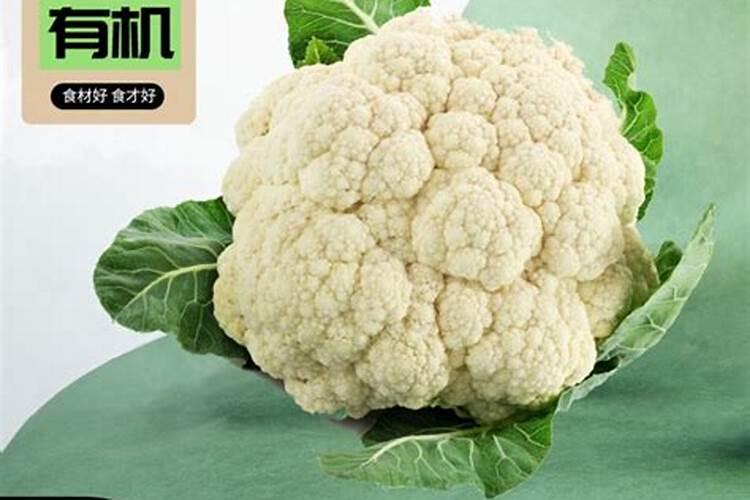 高产花菜种植的施肥技巧有哪些？