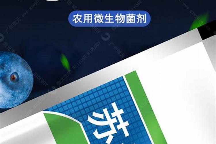 如何识别与防治榨菜黑斑病？