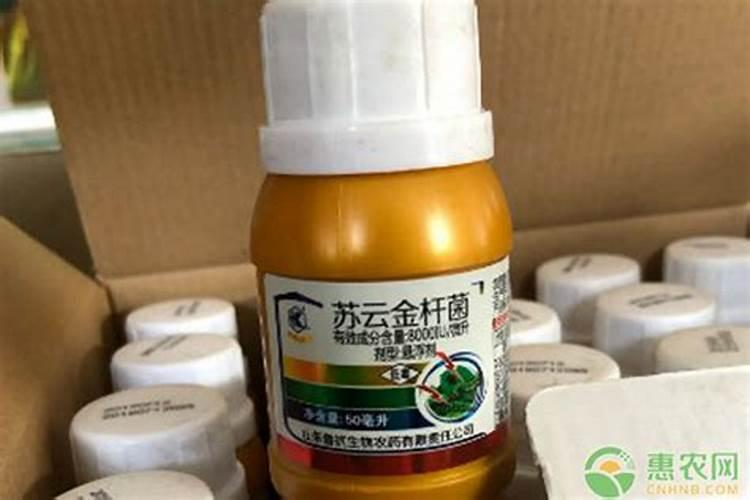 苏云金杆菌能不能与咪酰胺、三环唑等杀菌剂混用？