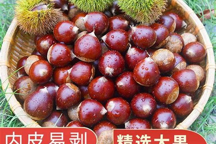 果树生根促根用什么效果最好？