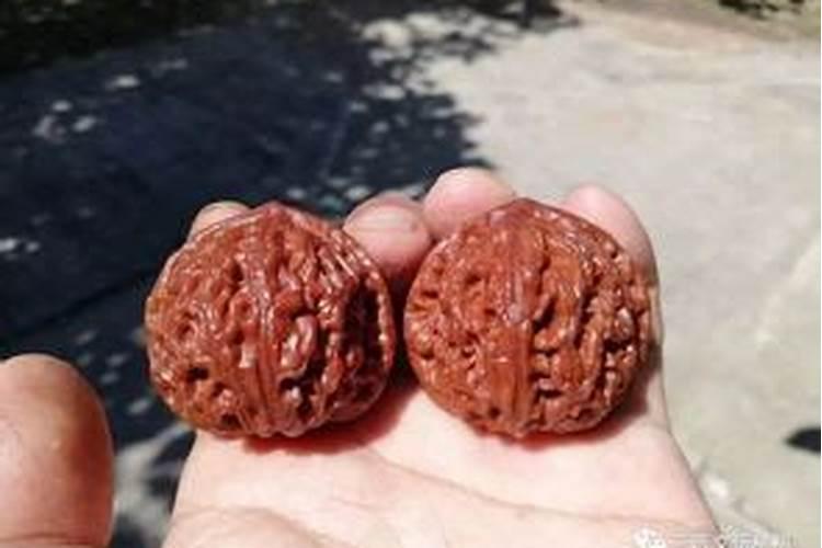 家里种的核桃树不结果,这是什么原因呢？