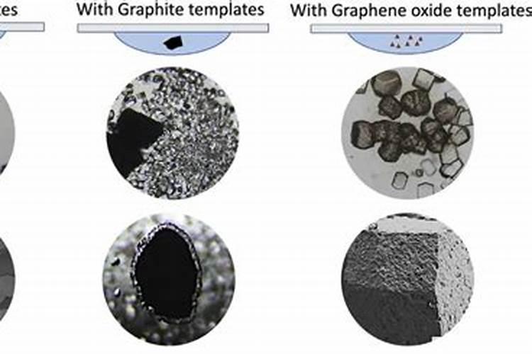 番石榴苗可以用鱼蛋白肥吗