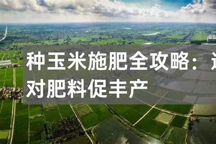 玉米专用复合肥什么含量的好