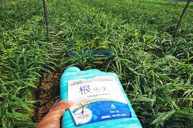 铜陵化学工业集团有限公司公司简介