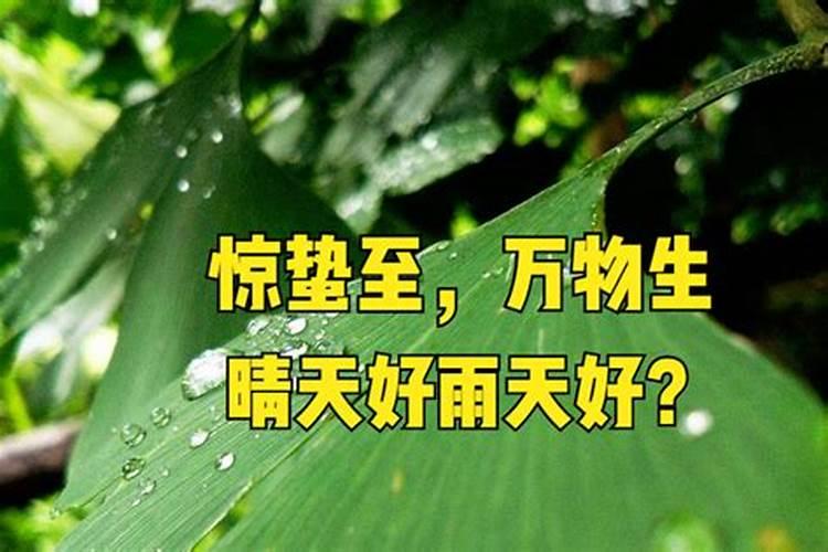 列举10种以根入药的校园常用植物!急需