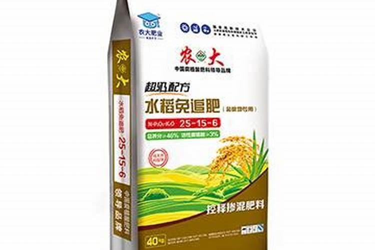2022种水稻成本
