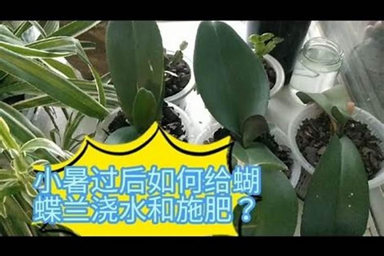 十大水溶肥品牌都有啥,国产的前十名,知名的水溶肥厂家有哪些？