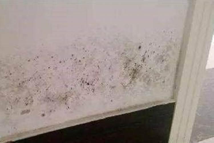 种花用什么土好 种花用哪种土合适