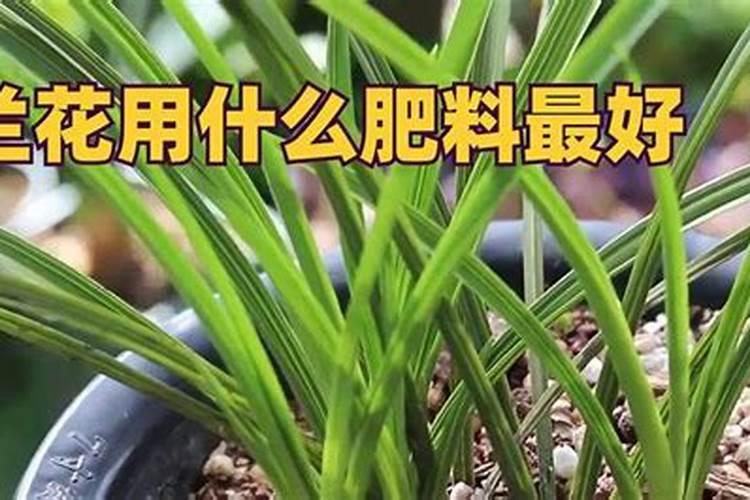 叶面肥有哪些优点？ 简述稻田除草专用五氯酚钠