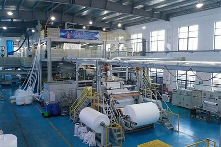 无纺布育苗袋可以育茄子苗吗