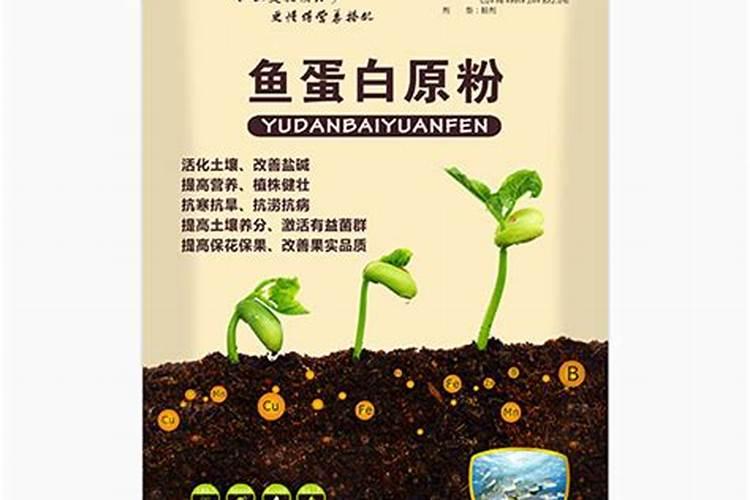 鱼蛋白肥料的使用技巧