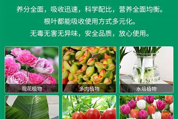腐植酸叶面肥的效果及功能