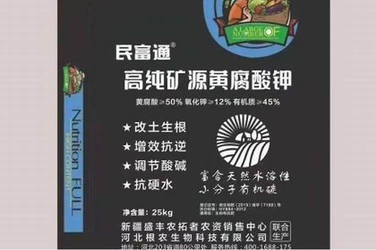 橘子树怎么管理