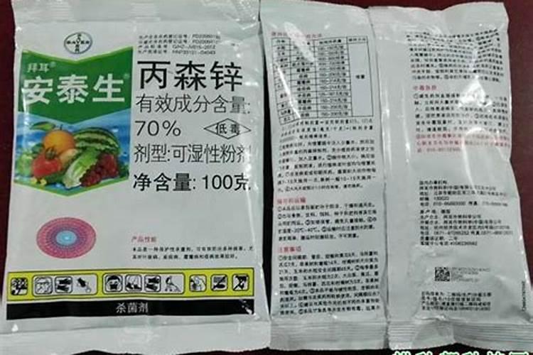 辣木树苗多少钱一棵