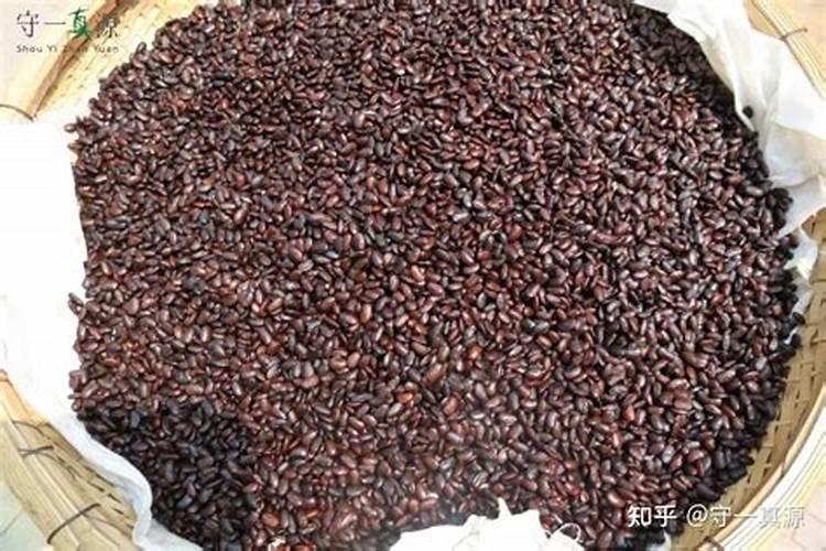黄豆如何做肥料,含什么元素多