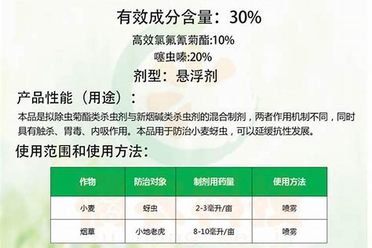 冬天怎么养草莓