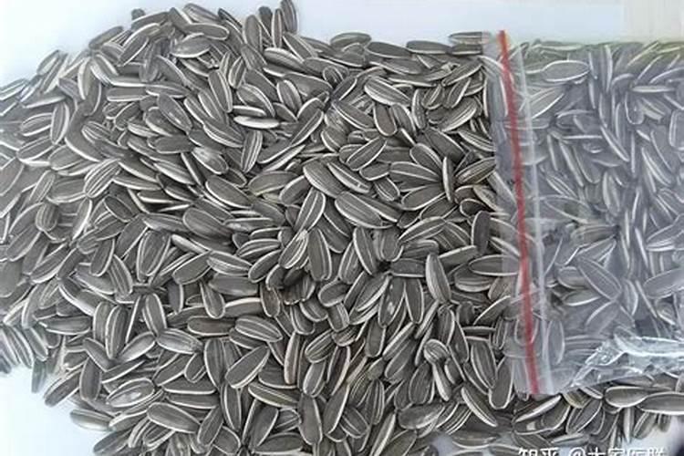 氮肥可以用什么代替