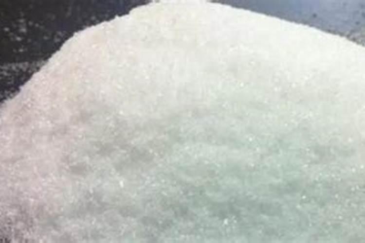 月季梅雨季节怎么施肥？