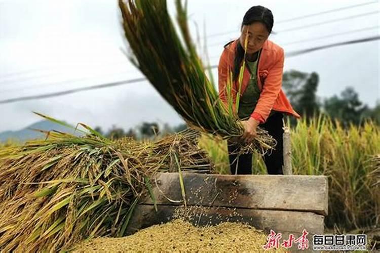 土豆什么季节种植