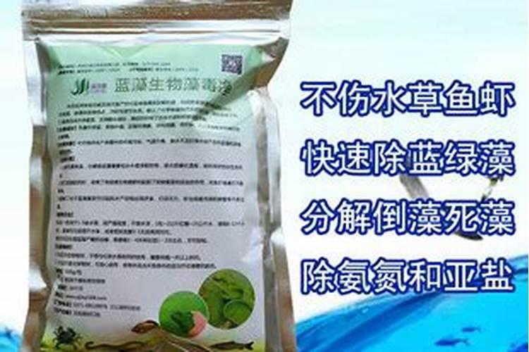 石灰和石膏有什么区别