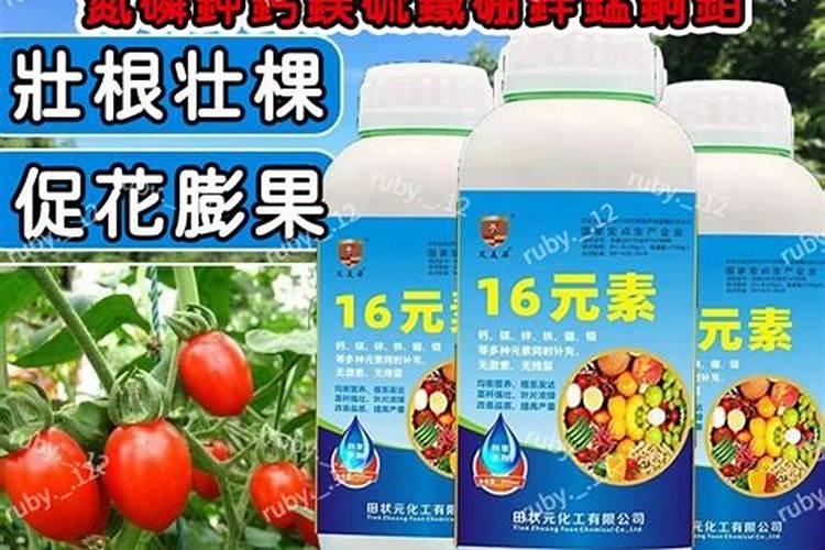 种植玉米单一用钾肥可以吗有毒吗？