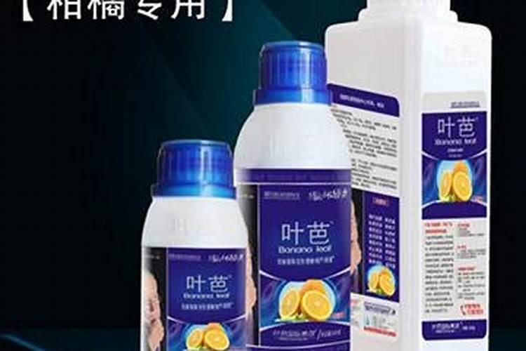 叶芭的叶芭功效
