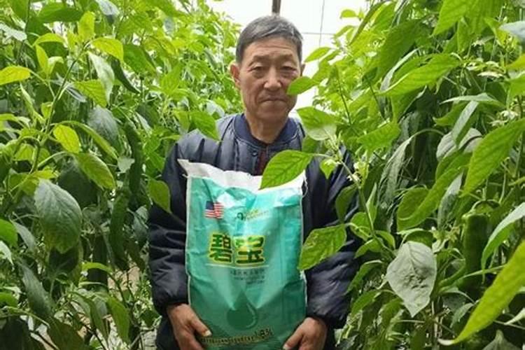 黄腐酸钾适用作物
