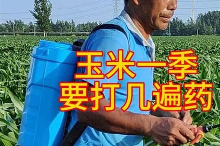 要将茶叶保存好,有什么办法？冷冻和冷藏怎么选？