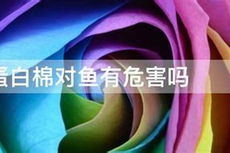 基因重组技术有哪几个方面的应用