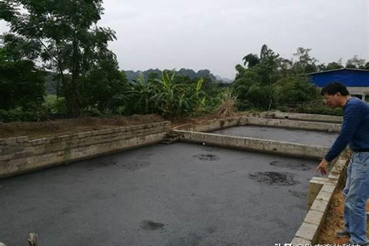 大量元素水溶肥具有什么特点,有什么功能