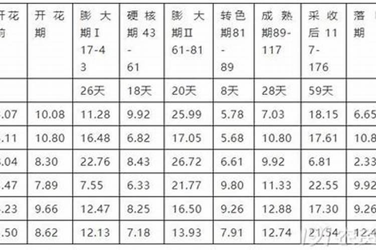 葡萄什么时候上肥料最好