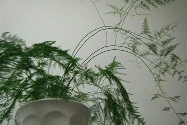复合肥在水田过一夜,第二天水流走了,肥料会流失吗？