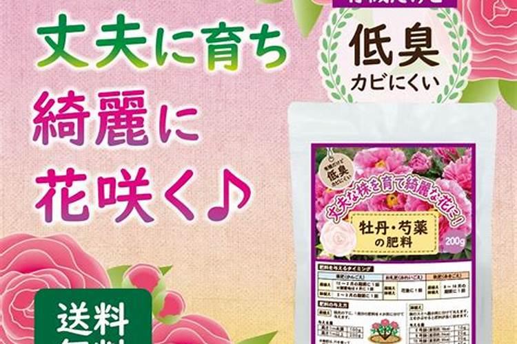 牡丹花可以喷叶面肥吗 注意事项有哪些