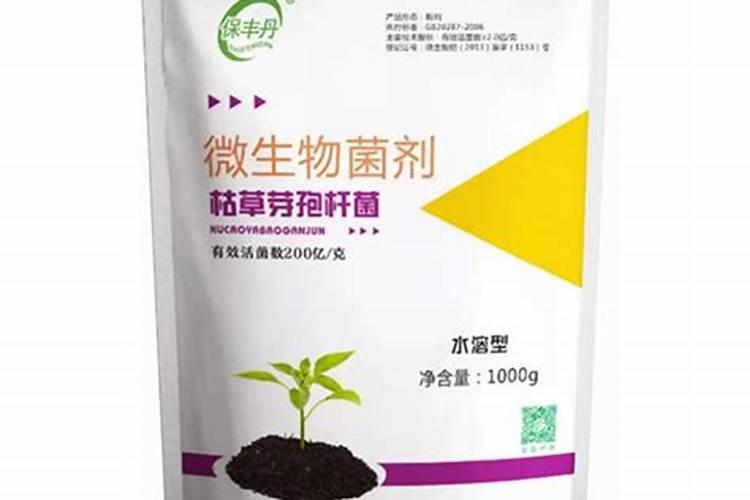 为什么家里的幸福树叶子总是耷拉的,我施肥了,也按要求浇水,每天给叶...
