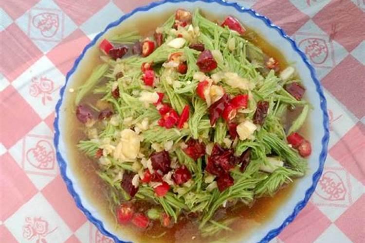 松针可以做肥料吗