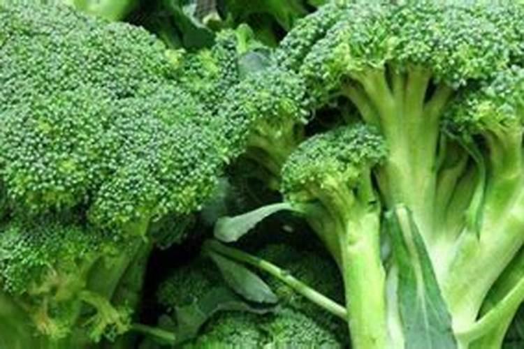 番茄挂果后怎么施肥 番茄施肥用什么肥料好