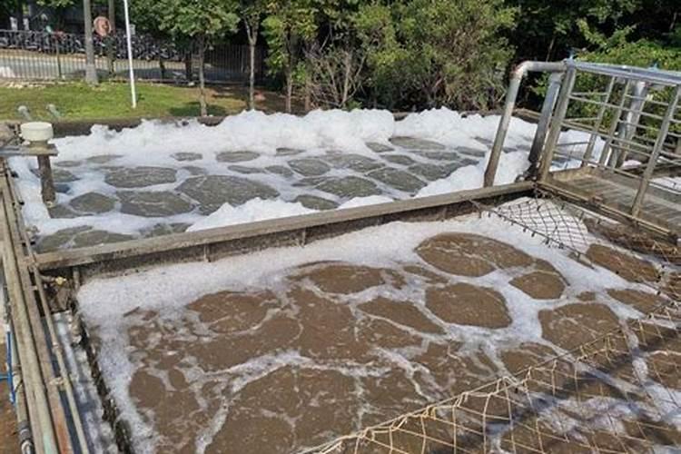发财树用肥料好还是营养液好