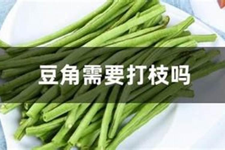 豆角小苗发黄打什么叶面肥？