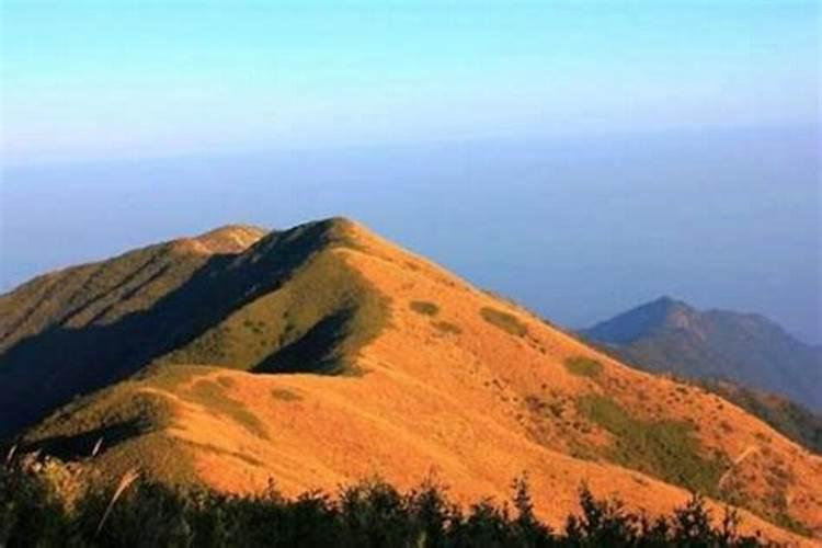 湖北神农峰复合肥不错不错