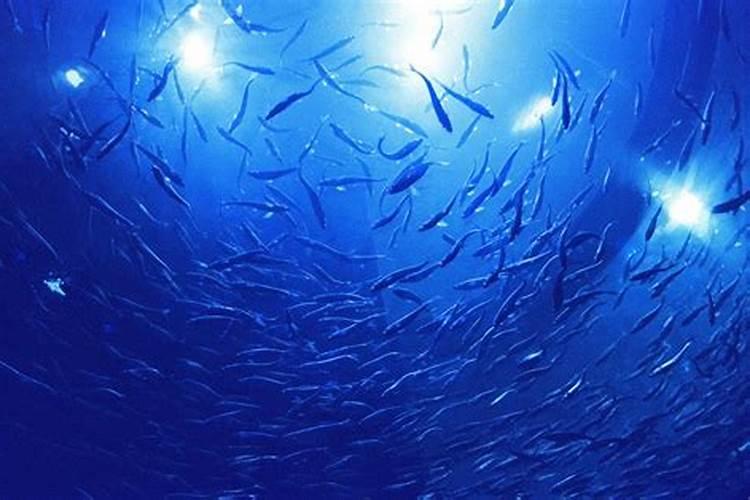 绿速达梨树上可以用吗？