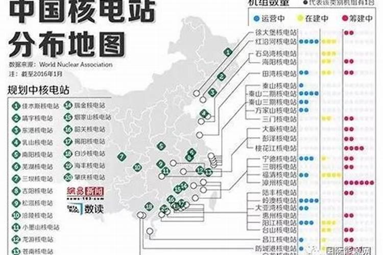 热带水果都有什么