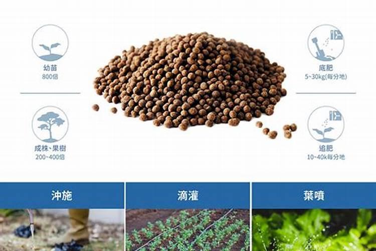 西瓜幼苗用什么生根肥好