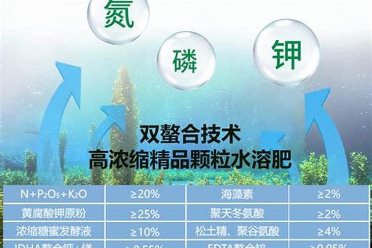 辣椒打哪种叶面肥好,喷施要领及技巧