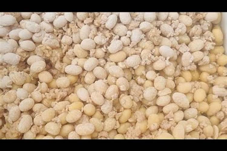 潍坊点豆农业科技有限公司怎么样？