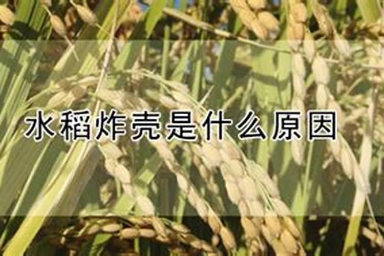 土壤肥力的高低主要取决于