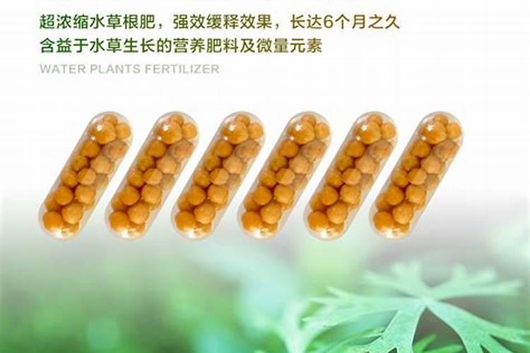 生根肥料有哪些 钾肥的作用是什么