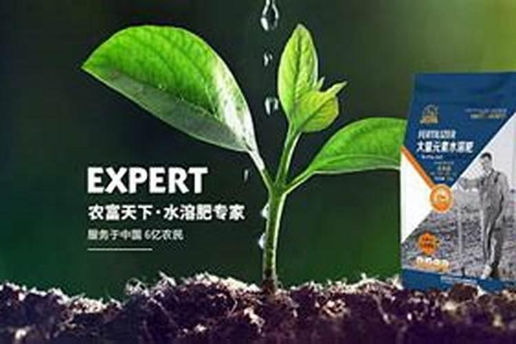 玉米喷施膨大剂可以增产300斤,科学种地不吹牛,方法告诉你