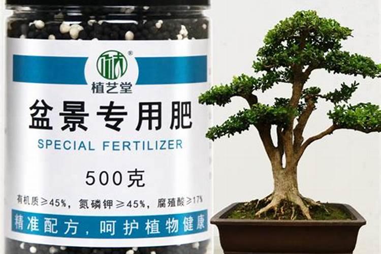 种植蔬菜的时候,施磷肥的时候有哪些注意问题？