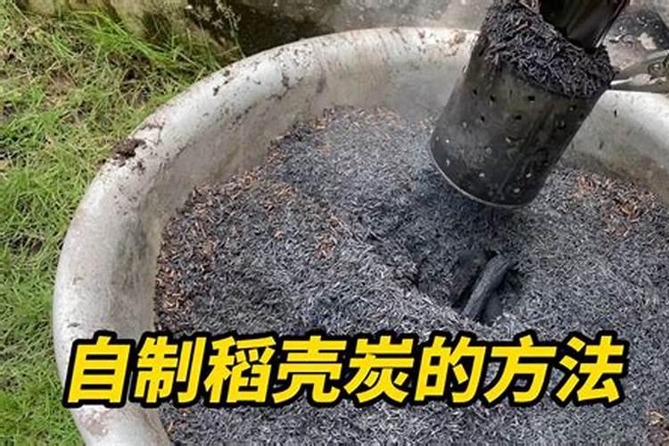 稻壳炭适合养什么花